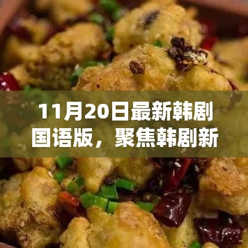 11月20日最新韓劇國語版，聚焦韓劇新風(fēng)尚，11月20日最新韓劇國語版深度解析