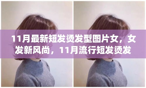 11月流行女發(fā)短燙發(fā)，全新風(fēng)尚與全攻略圖片欣賞
