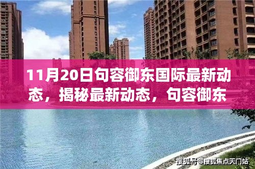 句容御東國際11月20日最新進(jìn)展報告，揭秘行動中的新動態(tài)
