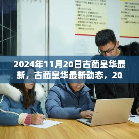 古藺皇華最新動態(tài)深度解析，2024年11月20日報告