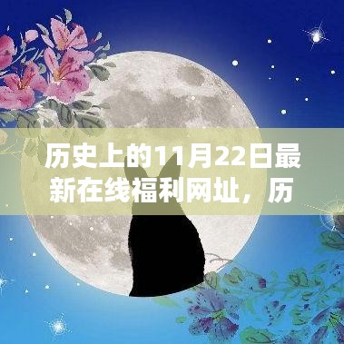 歷史上的11月22日與最新在線福利網(wǎng)址，多方觀點深度探析