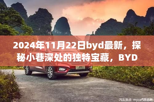 探秘小巷深處的獨(dú)特寶藏，BYD最新隱藏版特色小店揭秘（2024年11月22日）