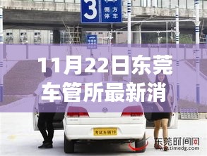 東莞車管所溫馨日常，趣事與陪伴的特別記錄（11月22日最新消息）
