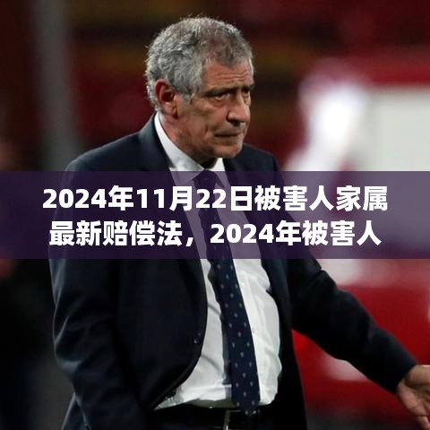 深度解讀2024年被害人家屬賠償法，背景、進(jìn)展與影響