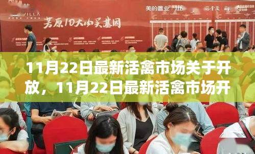 11月22日活禽市場開放動態(tài)，復(fù)蘇與機(jī)遇的挑戰(zhàn)
