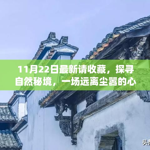 11月22日探尋自然秘境之旅，心靈啟程，珍藏美好瞬間
