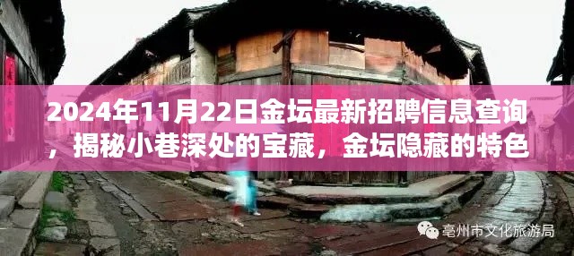 揭秘金壇隱藏特色小店與最新招聘信息奇遇記，2024年11月22日金壇招聘信息深度查詢