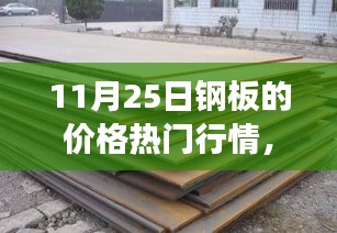 11月25日鋼板價格行情深度解析，市場波動與多方觀點透視