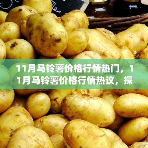 探析市場(chǎng)波動(dòng)與各方觀點(diǎn)，揭秘十一月馬鈴薯價(jià)格行情熱議背后的故事