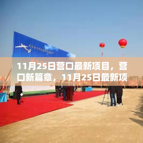 營口新篇章，11月25日最新項(xiàng)目探秘與揭秘