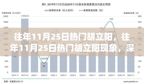 深度解析與觀點(diǎn)闡述，胡立陽現(xiàn)象——?dú)v年11月25日的熱門焦點(diǎn)