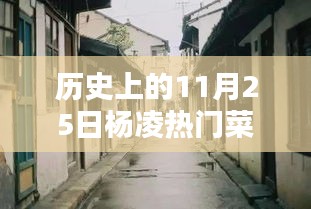 歷史上的楊凌菜價探秘，十一月二十五日小巷深處的時光味道與熱門菜價揭秘