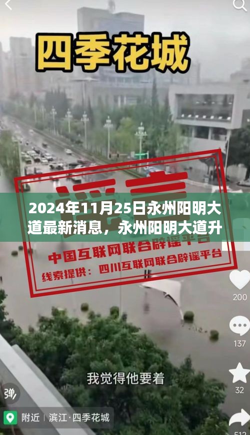 永州陽(yáng)明大道升級(jí)改造最新進(jìn)展深度評(píng)測(cè)，最新消息與評(píng)測(cè)報(bào)告（2024年11月25日）