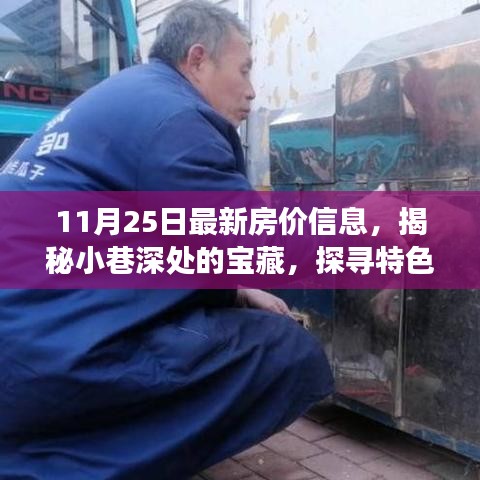 獨家揭秘，小巷深處的寶藏與特色小店背后的故事——最新房價信息報道