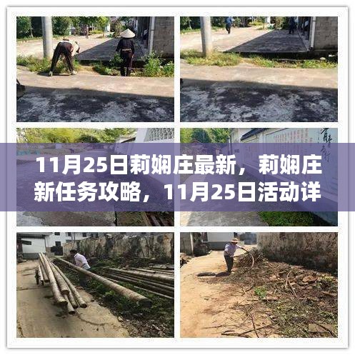 莉嫻莊新任務攻略與活動詳解，11月25日指南，提升技能全解析