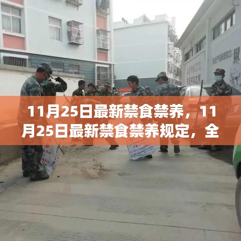 全面解讀及影響分析，最新禁食禁養(yǎng)規(guī)定出臺，時間聚焦至11月25日