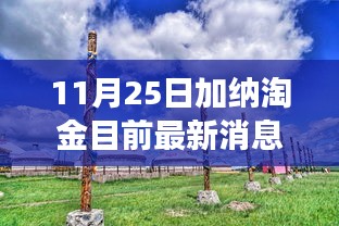 加納淘金最新動(dòng)態(tài)，探尋秘境的心靈之旅