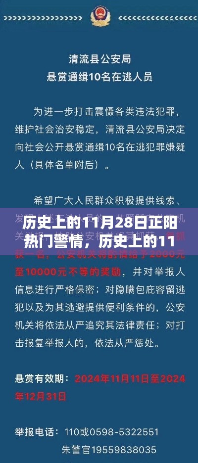 歷史上的11月28日正陽(yáng)熱門警情揭秘??
