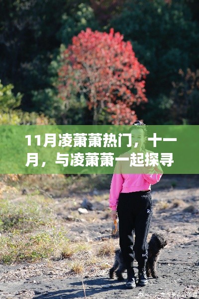 十一月心靈之旅，與凌蕭蕭共探自然秘境