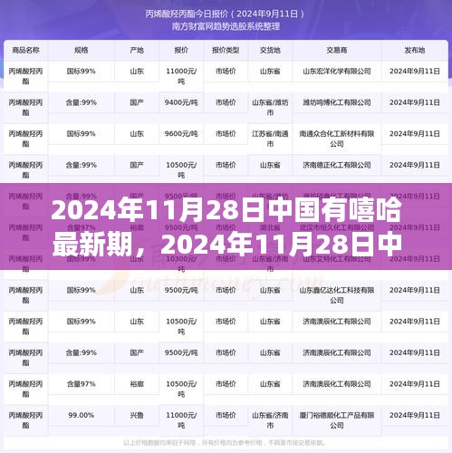 2024年11月28日中國有嘻哈最新期，觀眾參與指南