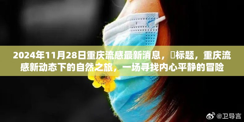 重慶流感新動(dòng)態(tài)下的探索之旅，內(nèi)心平靜的冒險(xiǎn)（2024年11月28日最新消息）