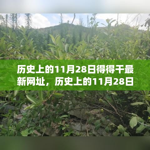 歷史上的11月28日，追尋自然美景之旅，探索內心寧靜港灣的新網址揭秘