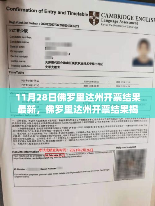 佛羅里達(dá)州開票結(jié)果揭曉，新篇章下的政治風(fēng)云及其影響