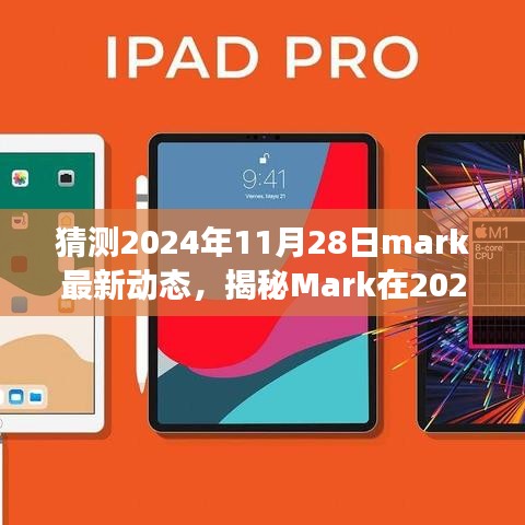 揭秘Mark在2024年11月28日的最新動(dòng)態(tài)，深度解讀成長(zhǎng)與變遷之路