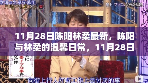 陳陽林柔的溫馨日常，11月28日的快樂時光記錄