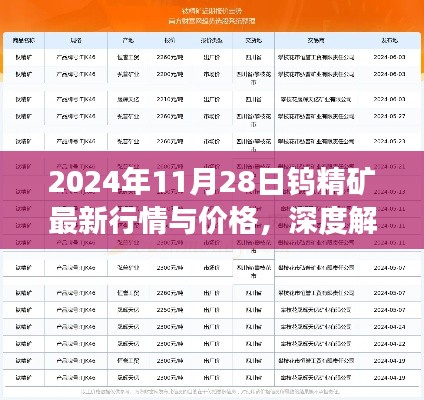 深度解析，2024年11月28日鎢精礦最新行情與價格展望
