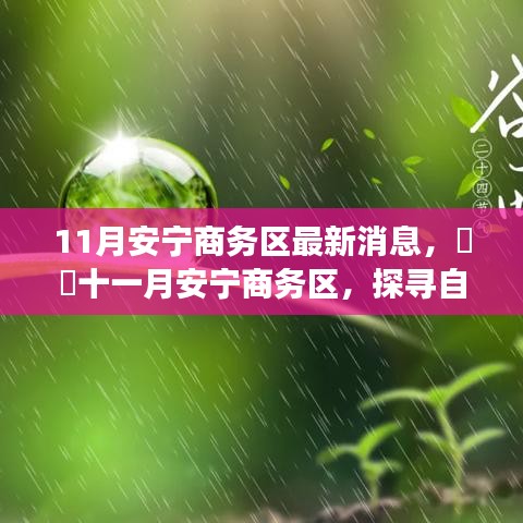 十一月安寧商務區(qū)最新動態(tài)，探尋自然秘境，啟程心靈之旅
