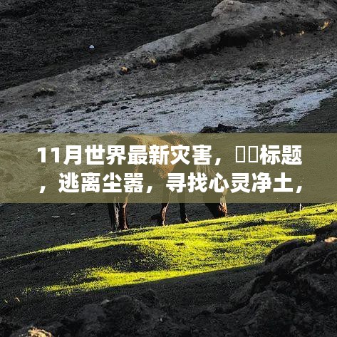十一月探險之旅，災(zāi)難邊緣的求生與心靈凈土的追尋