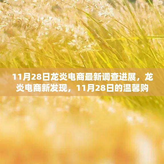 龍炎電商最新調(diào)查進展揭秘，溫馨購物日常故事與最新發(fā)現(xiàn)