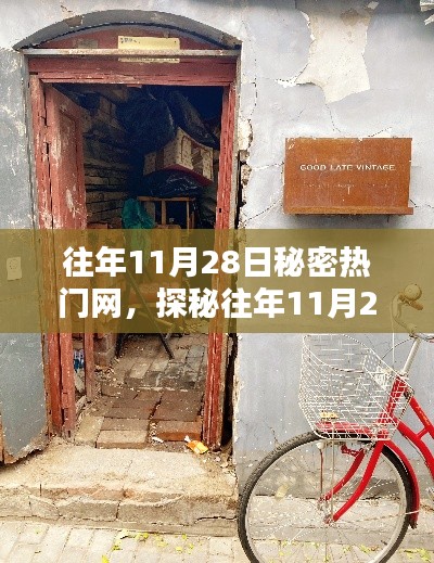 探秘往年11月28日小巷深處的秘密熱門網(wǎng)，獨(dú)特小店的魅力之旅