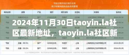 2024年11月30日taoyin.la社區(qū)新址展望，機(jī)遇與挑戰(zhàn)并存