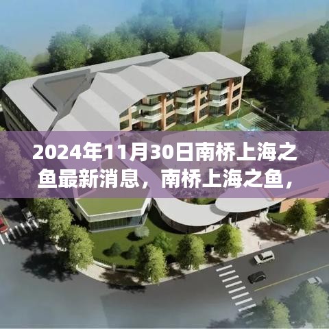 南橋上海之魚，溫馨日常與深厚友情的見證（最新消息，2024年11月30日）