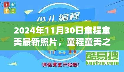 童程童美之旅，探索自然美景的最新照片與內(nèi)心平靜的力量之旅（2024年11月30日）