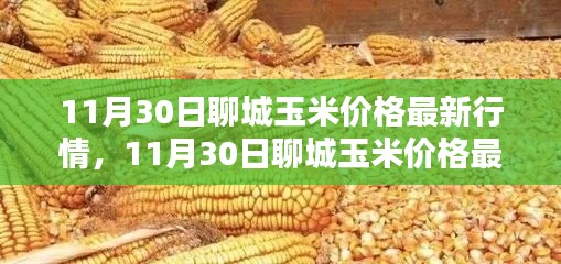 悠然自得 第13頁