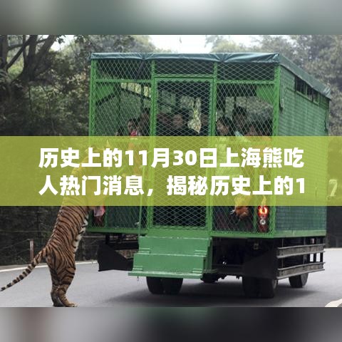 揭秘上海熊吃人事件，歷史真相與傳聞回顧（附日期，XX年XX月XX日）