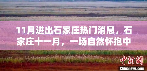 石家莊十一月，自然懷抱中的心靈之旅，進(jìn)出熱門消息