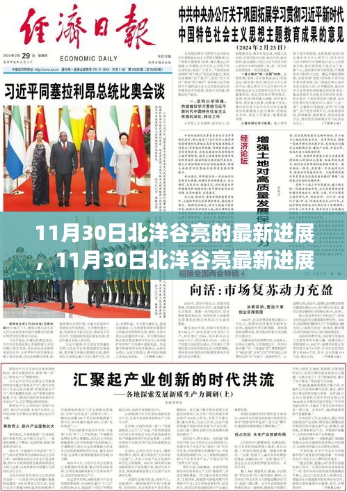 11月30日北洋谷亮最新進(jìn)展報(bào)告，揭秘最新動(dòng)態(tài)與成果展示