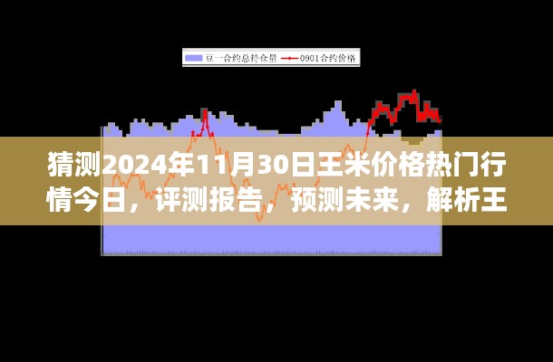 獨家解析，王米價格行情預測至2024年11月30日，今日熱門行情與未來展望評測報告
