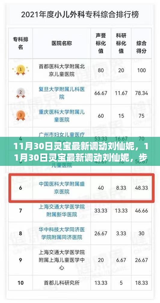揭秘靈寶最新人事調(diào)動(dòng)，劉仙妮的晉升之路與技能學(xué)習(xí)指南