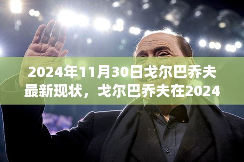 戈?duì)柊蛦谭蜃钚卢F(xiàn)狀，多維度視角下的審視（2024年）