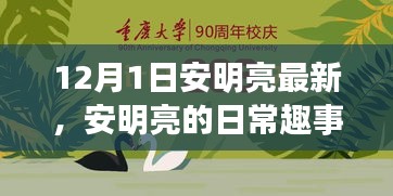 安明亮日常趣事，溫馨時(shí)光回顧，12月1日的精彩瞬間