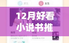 十二月最新熱門小說推薦與深度測評，不容錯過的閱讀盛宴