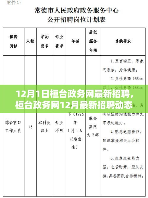 桓臺政務(wù)網(wǎng)12月最新招聘動態(tài)，開啟職業(yè)機(jī)遇之門