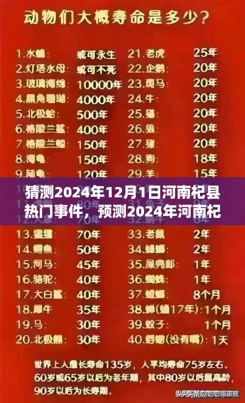 河南杞縣熱門事件預(yù)測，多方觀點下的探討與展望（2024年12月1日）