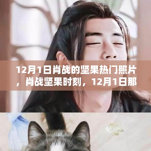 肖戰(zhàn)堅(jiān)果時(shí)刻，12月1日令人心動(dòng)的瞬間與熱門(mén)照片回顧