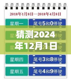 上海未來限行猜想，高架暢想曲與暖心故事，展望2024年12月的新規(guī)定